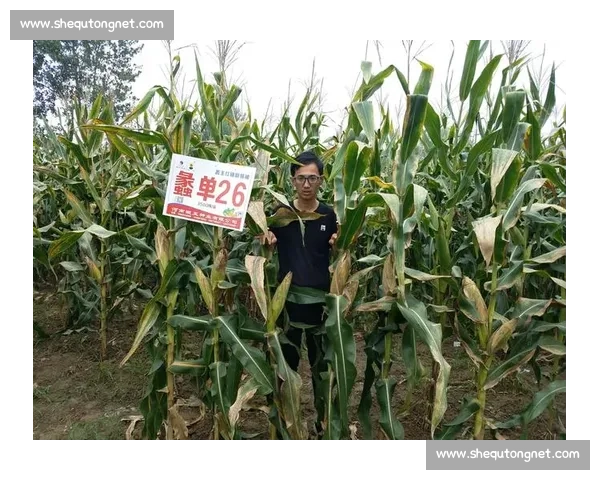 图赫尔更衣室暖心一幕:欧青赛夺冠后拥抱每位球员彰显领袖魅力 图赫尔更衣室暖心一幕:欧青赛夺冠后拥抱每位球员彰显领袖魅力